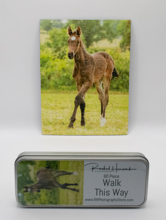 Walk This Way 60 Piece Jigsaw