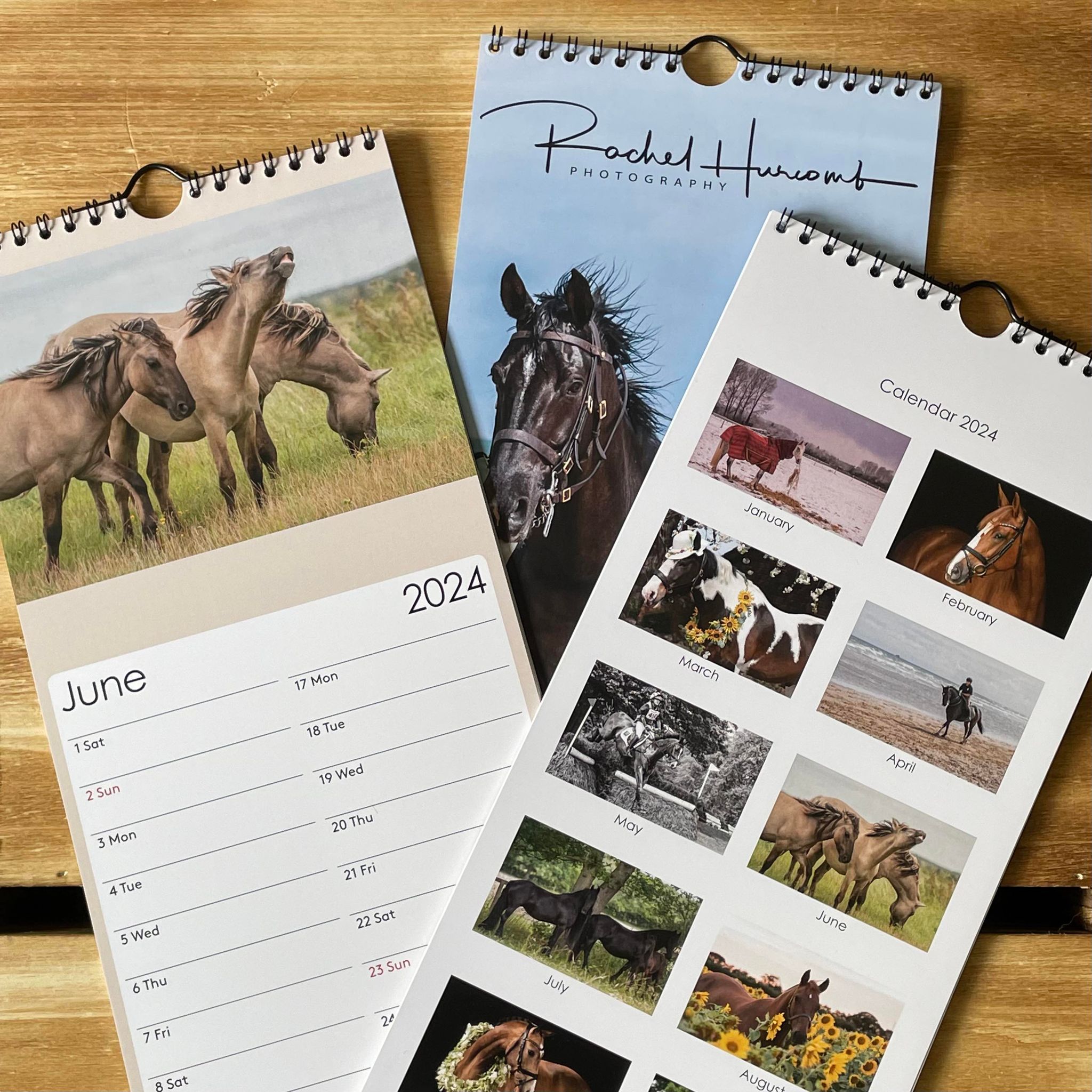 2024 Slimline Equine Calendar Rachel Photography