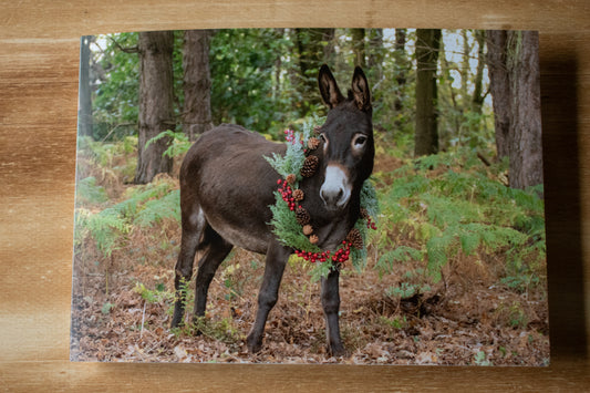 Bessie A5 Card (single)