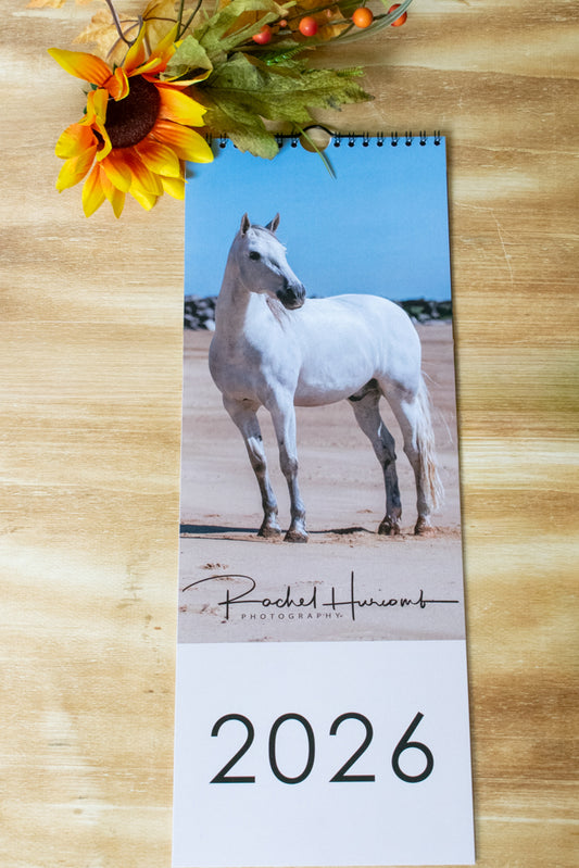 2026 Equine Calendar Slimline
