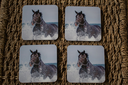 Beach Horse Coasters