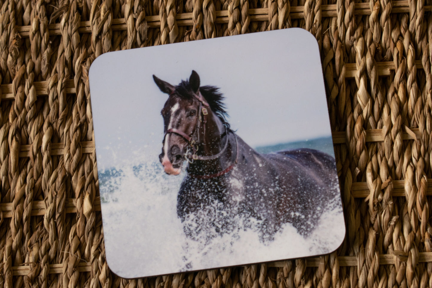 Beach Horse Coasters