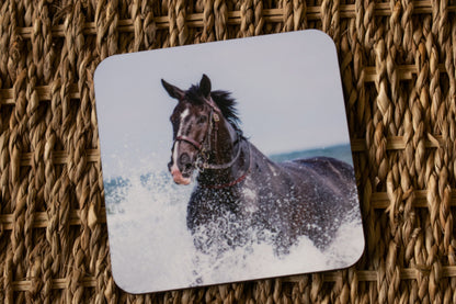 Beach Horse Coasters