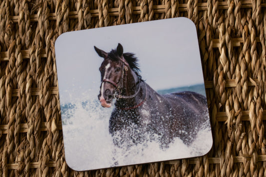 Beach Horse Coasters