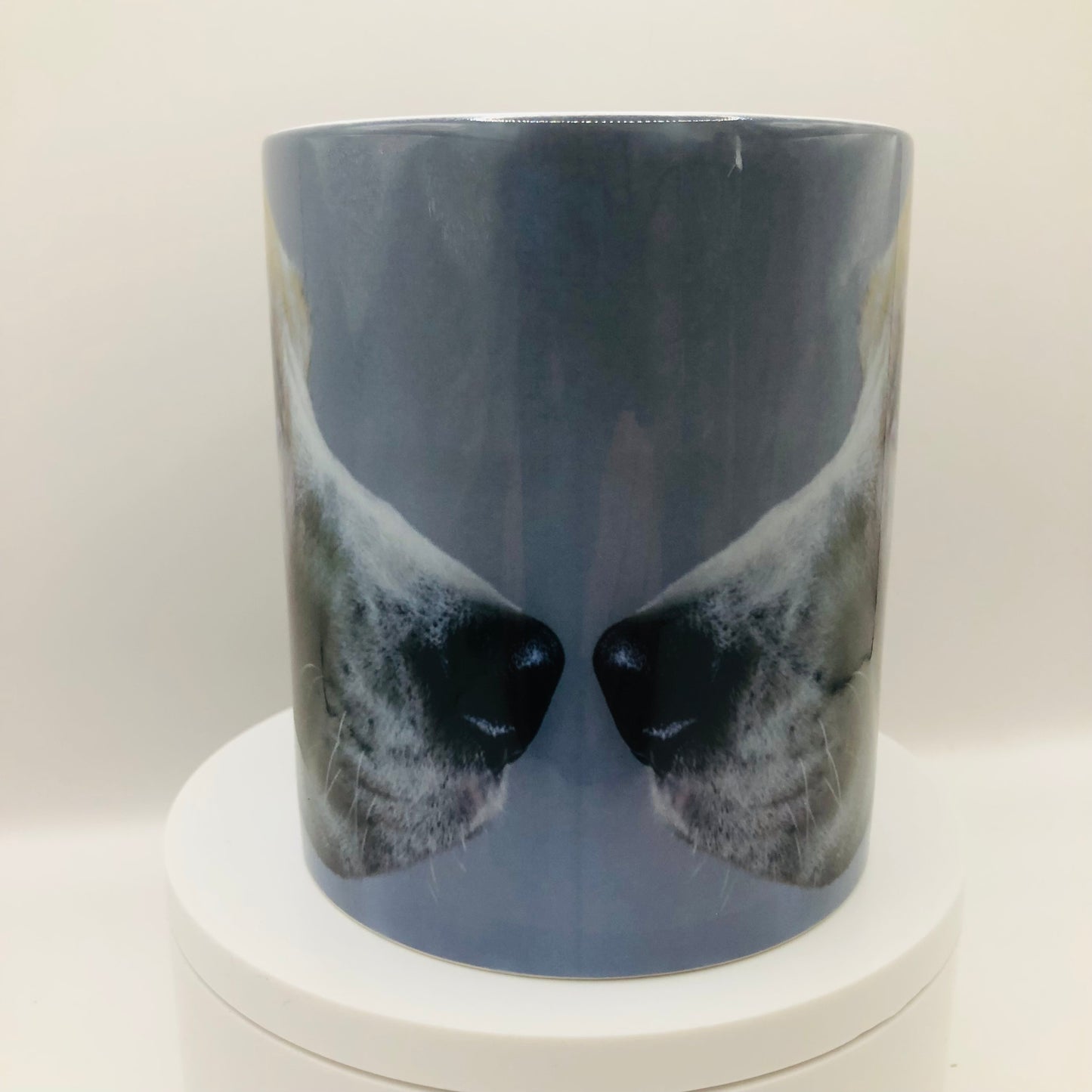 Taylor the Beagle 11oz Mug