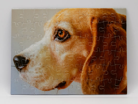 Taylor The Beagle 60 Piece Jigsaw
