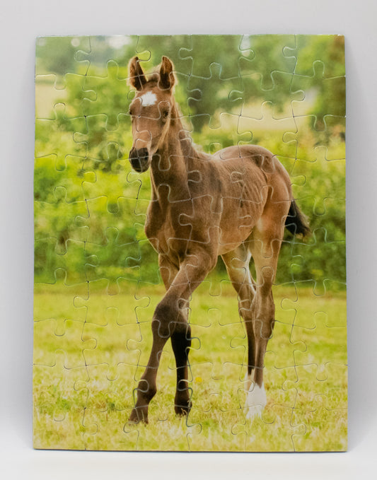 Walk This Way 60 Piece Jigsaw