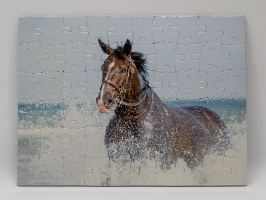 Splash 60 Piece Jigsaw