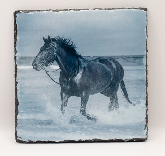 Beach Horse Photo Slate