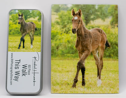Walk This Way 60 Piece Jigsaw