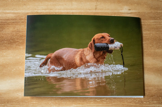 Retrieve A5 Card (Single)